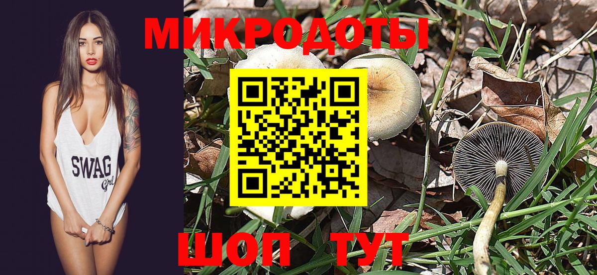 Галлюциногенные грибы прущие грибы  Галлюциногенные грибы Psilocybine cubensis  Вход с VPN  Саки 